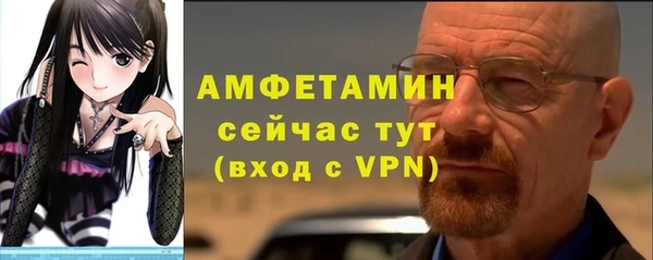 крисы Богородицк