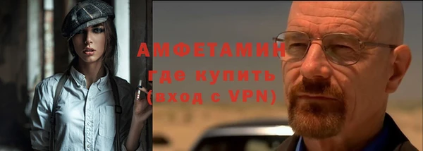 крисы Богородицк