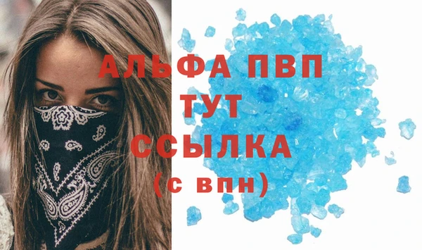 СК Белокуриха