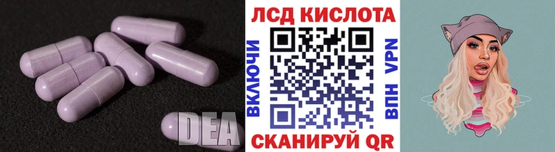 kraken ссылки  Мезень  ЛСД экстази кислота 